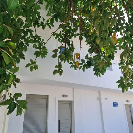 Sarri Appartments Amoudara Lasithiou المظهر الخارجي الصورة